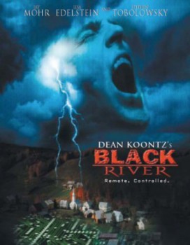 poster Black River(2001)