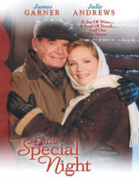 poster One Special Night(1999)