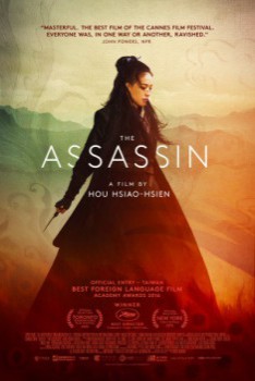 poster The Assassin(2015)