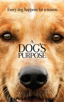 poster A Dog's Purpose(2017)