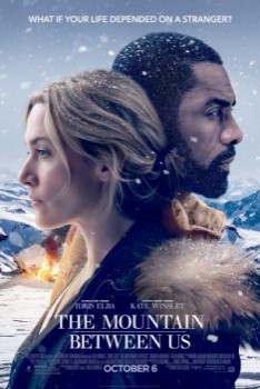 poster The Mountain Between Us(2017)
