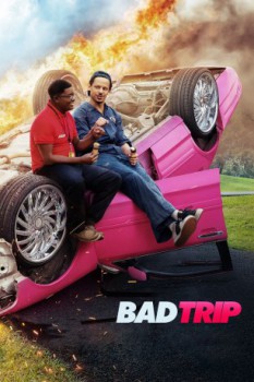 poster Bad Trip(2020)